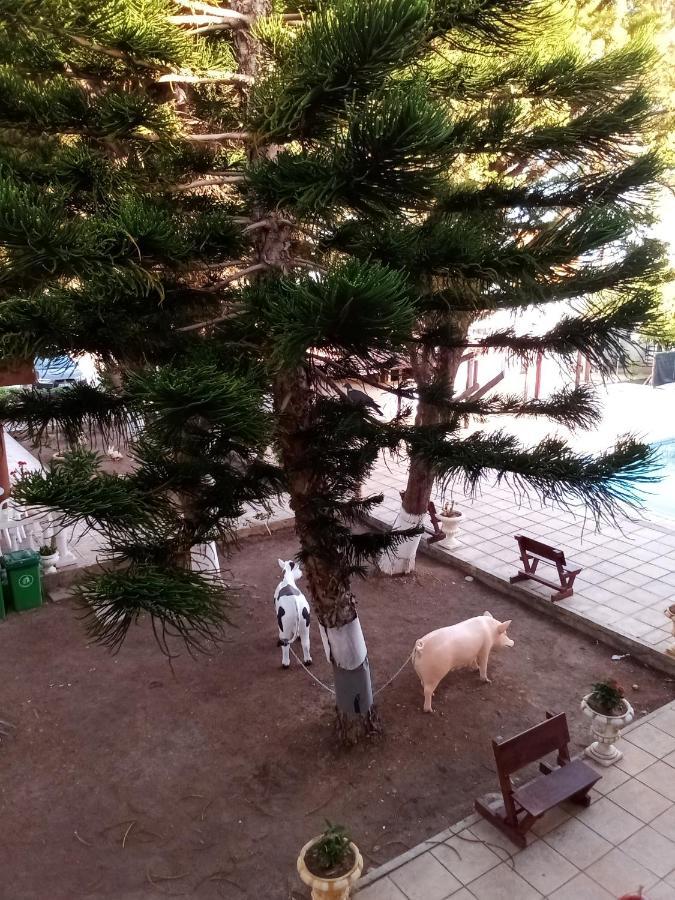 Anastasia Holiday Apartments Paphos Ngoại thất bức ảnh